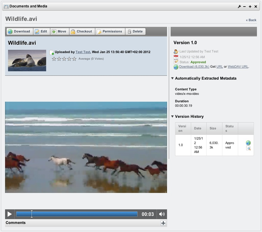 Figure 4.15: Playing a video