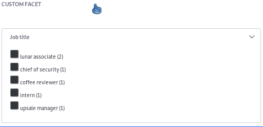 Figure 1: Custom Facets must be configured first.