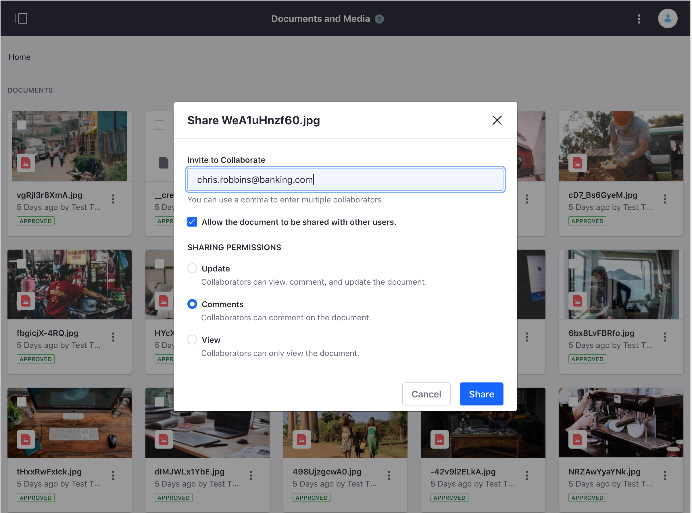 Figure 5: You can share assets with other users easily.