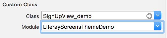 Figure 3: The XIB file is bound to the custom class name, with the specified module.