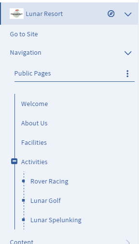 Figure 1: The Pages menu allows you to edit your site pages as a whole.