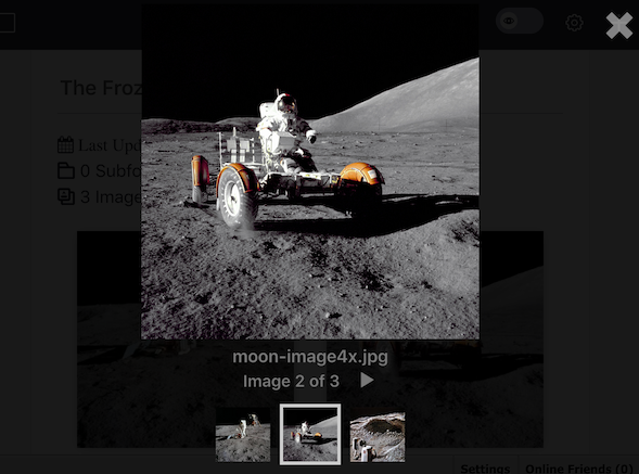 Figure 3: The Media Gallerys slideshow provides a nice way to view images.