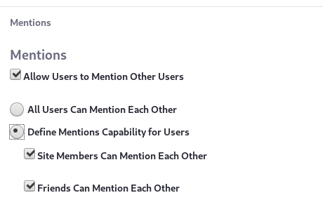 Figure 1: Configure the Mentions capability throughout a virtual instance.