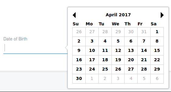 Figure 6: A date field.