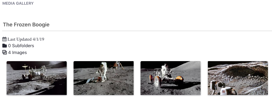 Figure 2: The Media Gallery renders large thumbnail images of media files.