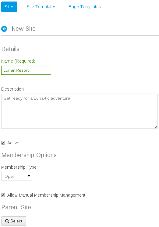 Figure 2.4: The New Site window aids in your new site development.