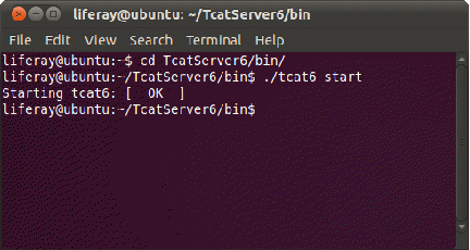 Figure 14.21: Tcat service startup on Linux