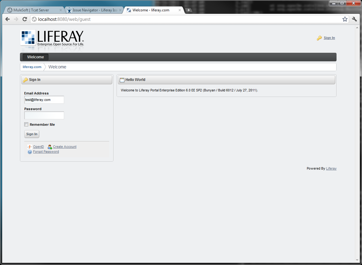 Figure 14.35: Accessing Liferay Portal on Liferay Portal Instance 1