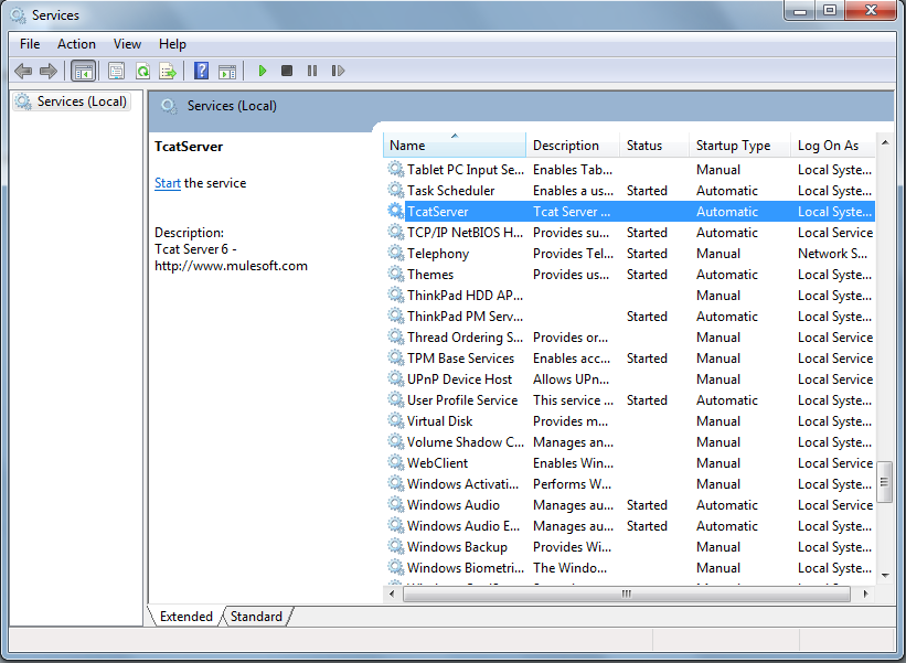 Figure 14.20: Windows services console
