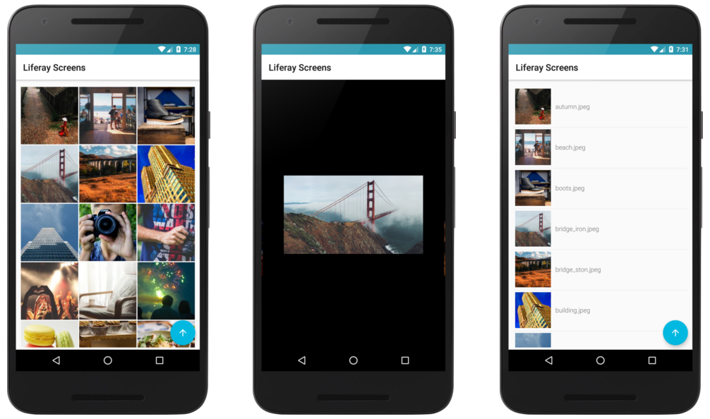 Figure 1: Image Gallery Screenlet using the Grid, Slideshow, and List Views.