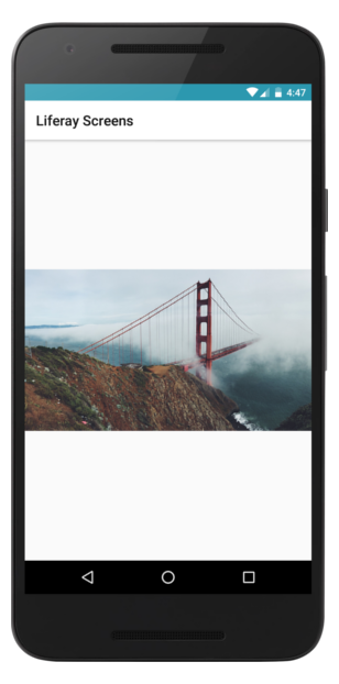 Figure 1: Image Display Screenlet using the Default View.