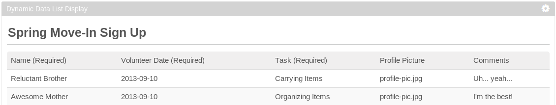 Figure 11.6: The Dynamic Data List Display portlet allows users to view the records belong to a list in either a standard or a spreadsheet view. This figure shows the spreadsheet view.