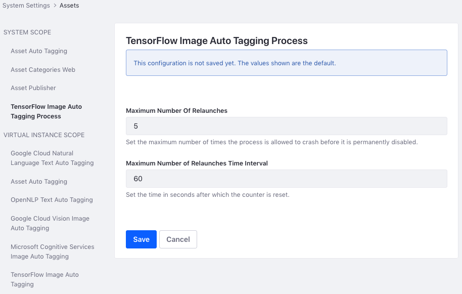 Figure 3: You can fine tune the process that runs the TensorFlow image auto tagging in the portal.