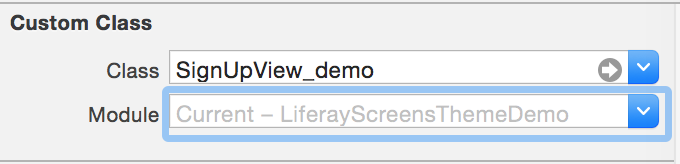 Figure 2: This XIB files custom classs module is NOT specified.