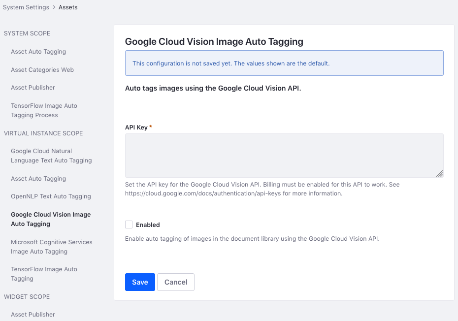 Figure 4: The Google Cloud Vision provider requires an API key.