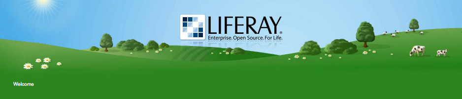 Figure 13.16: Murali Theme from Liferays Theme
Repository