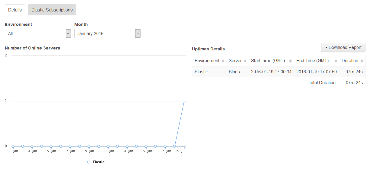 Figure 17: The Elastic Subscriptions tab shows details about your projects elastic servers.