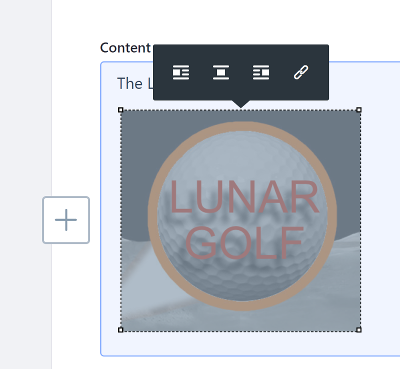 図2：画像スタイルツールバーを使用すると、エディターで画像をフォーマットできます。