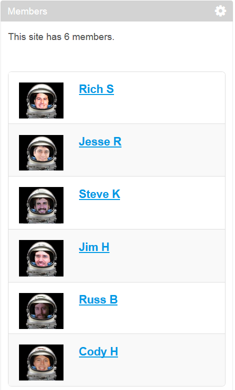 Figure 10.3: The Members portlet displays all the members of a particular site.
