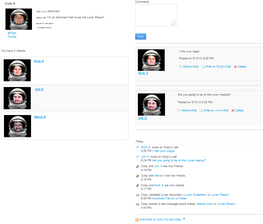 Figure 10.7: You can get creative with Social Networking portlets and make a custom designed profile page.