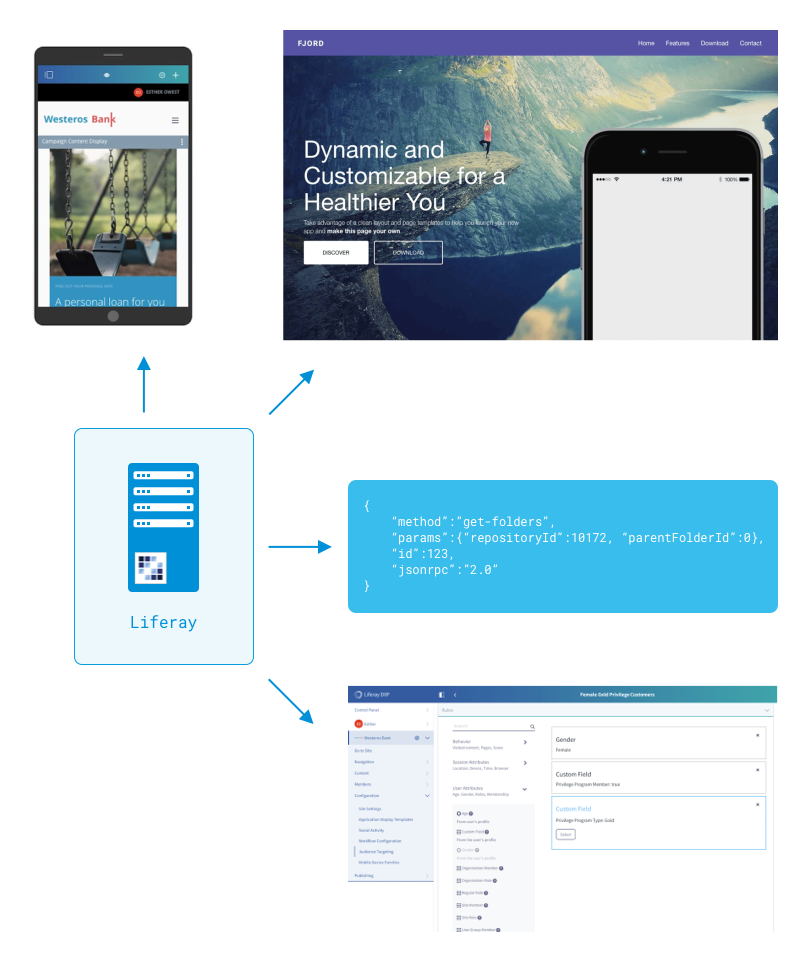 Liferay DXP can be used by developers in many ways.