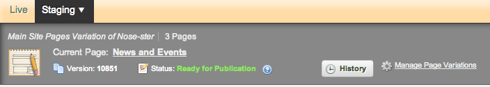 Figure 3.23: Ready to publish to the live site.