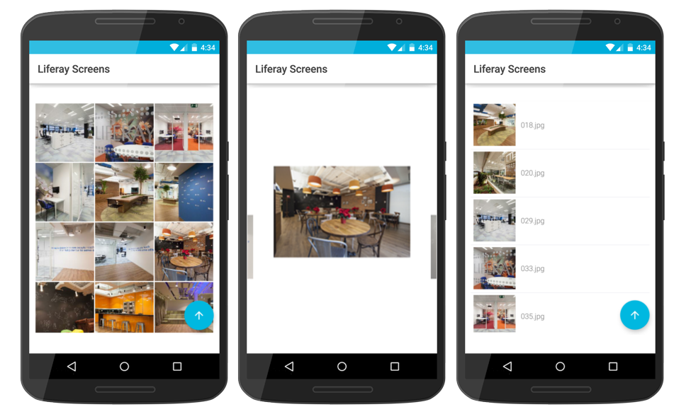 Figure 1: Image Gallery Screenlet using the Grid, Slideshow, and List Views.