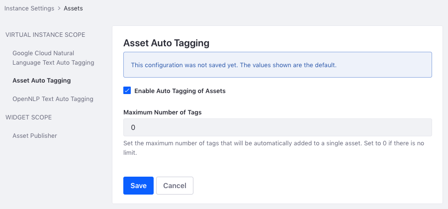 Figure 2: You can also configure auto tagging for each instance.