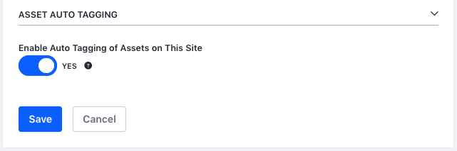 Figure 3: You can enable or disable auto-tagging for a site.