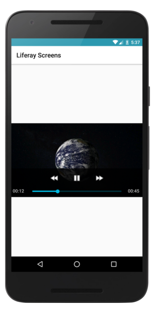 Figure 1: Video Display Screenlet using the Default View.