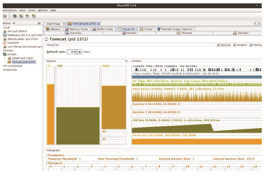 Visual VM shows the garbage collector in real-time.