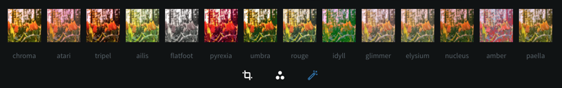 Figure 4: The image editor offers several filter presets for you to choose from.