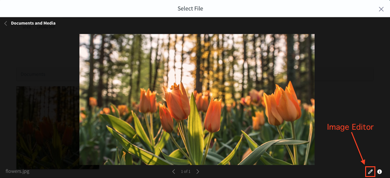 Figure 2: You can access the image editor through the item selector preview window.