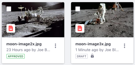 Figure 1: The file on the right in this image is checked out.