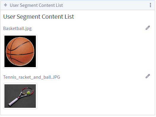 Figure 3: The User Segment Content List application displays content that matches the user segments which fit the current user. You can configure the User Segment Content List application to display assets of any kind or only specific kinds of assets.