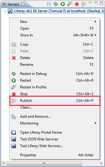 Figure 8.10: Publish your server