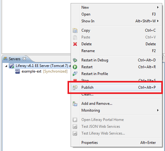 Figure 8.4: How to publish the Ext Plugin