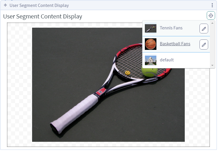 Figure 2: In the User Segment Content Display application, site administrators can preview the various assets that have been configured to be displayed to different user segments.