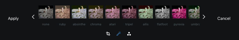 Figure 4: Select from a set of preset image filters.