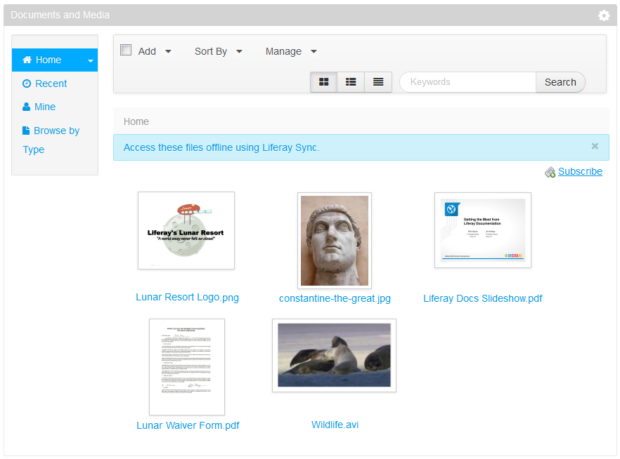 Figure 5.7: After configuring additional tools, previews in the Documents and Media portlet are more advanced.