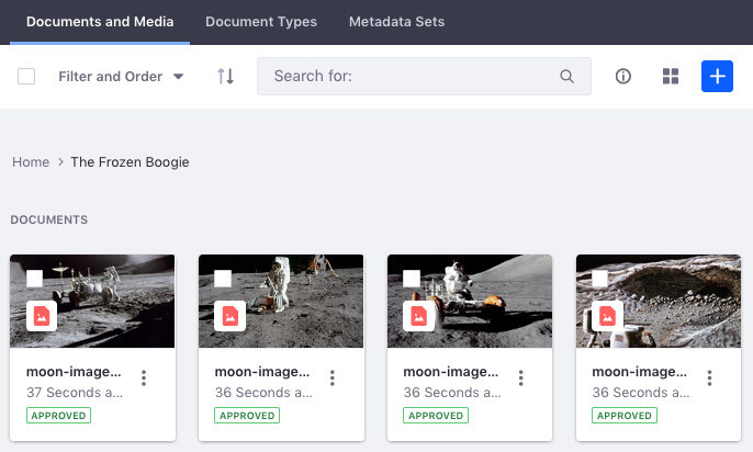 Figure 2: The Cards View type shows items in large card-like renderings.