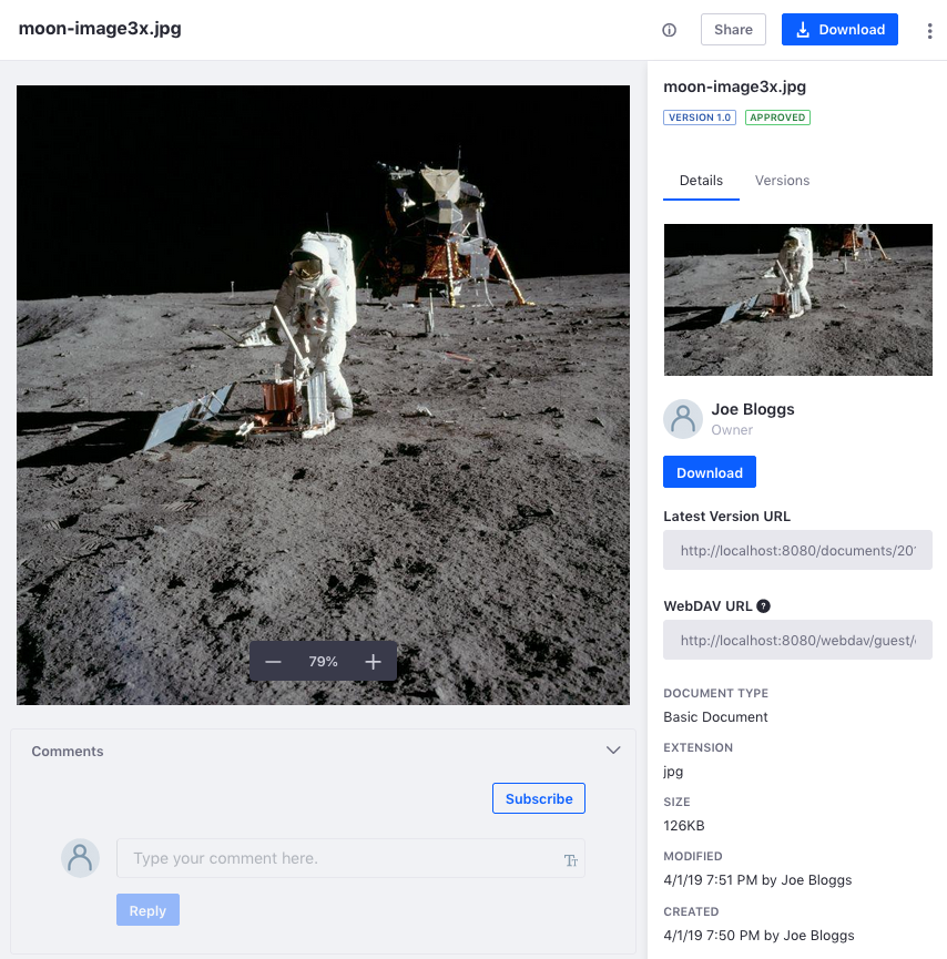 Figure 1: File previews let you view and manage a file.